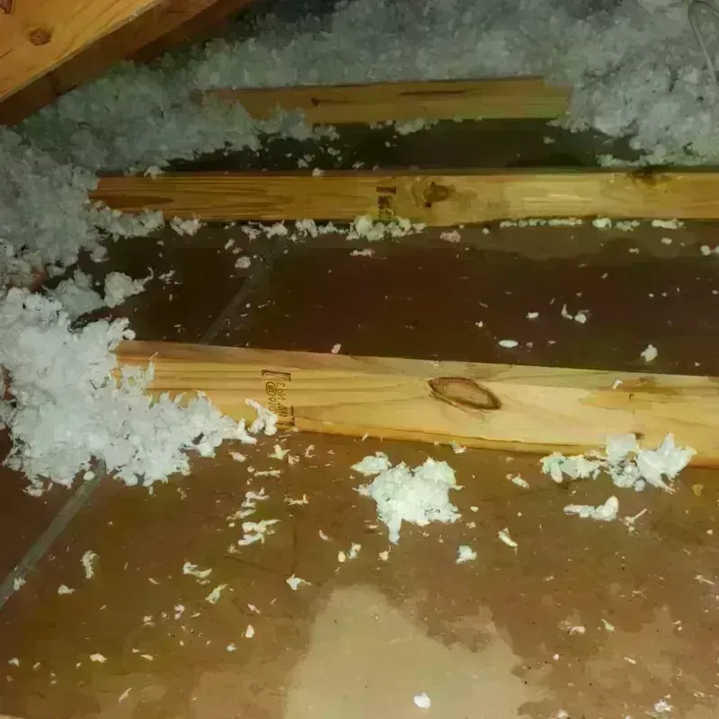 Attic Water Damage in Faribault County, MN