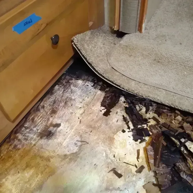 Best Wood Floor Water Damage Service in Faribault County, MN